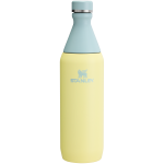 All Day Slim Bottle | 20 OZ - Pomelo