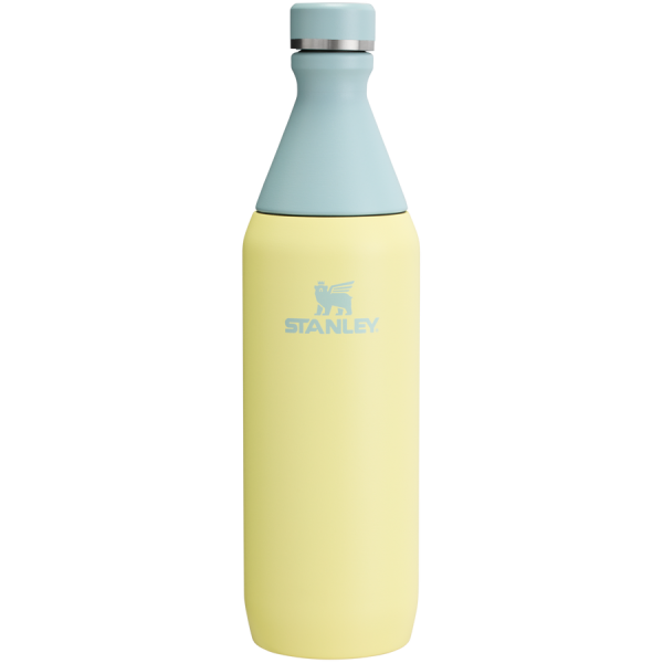 All Day Slim Bottle | 20 OZ - Pomelo
