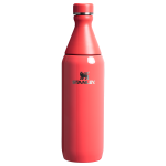 All Day Slim Bottle | 20 OZ - Hot Coral Gloss